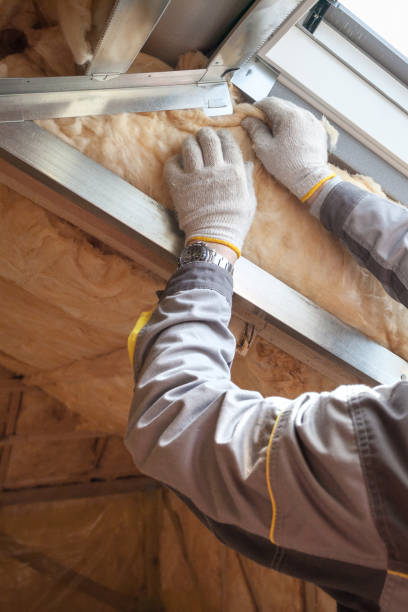 Best Types of Insulation in Portland, MI